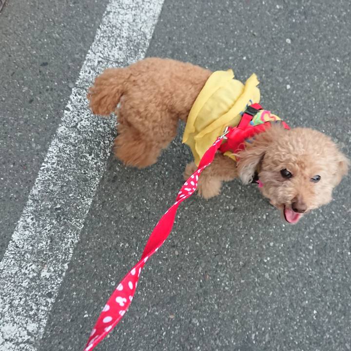 5afba242 1627 42dd 8b2c 8aa45fff1335 1558777529270