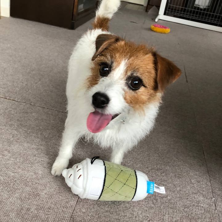 5afbadef 2470 4353 8622 25552b4195a0 1576902517425