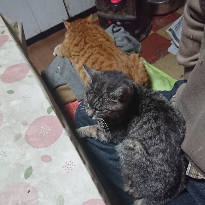 5afbaf24 ba43 44d1 92aa d81f56944dd3 1579641348994