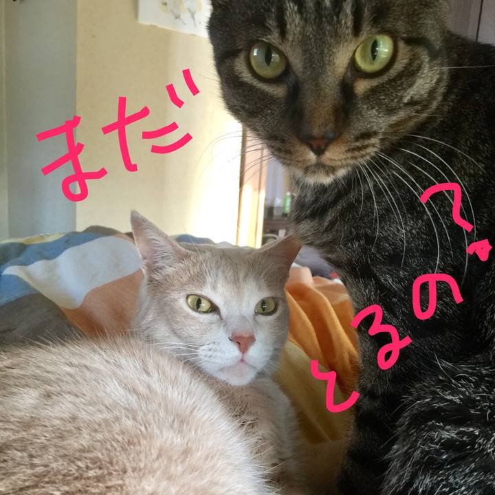 5afbc648 f595 41bf 830c d4a45dfd2530 1591487042693