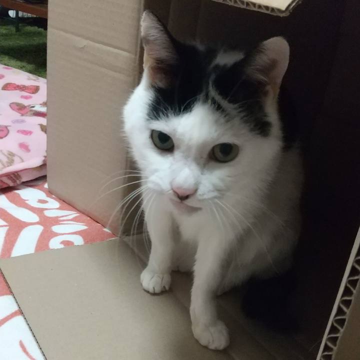 5afbcba8 21ce 4ffa ade8 d31081e8614f 1741327517533