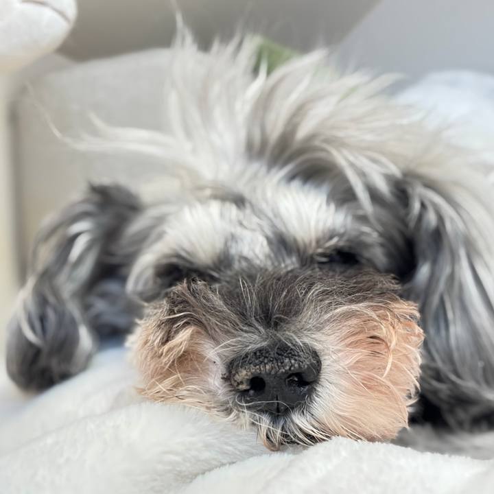 5afbd127 bf3f 4dfc 9bf7 22eb458fd28c 1764505857241