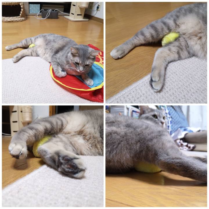 5afbe274 dbf4 4717 902a f910c160570d 1575167837683