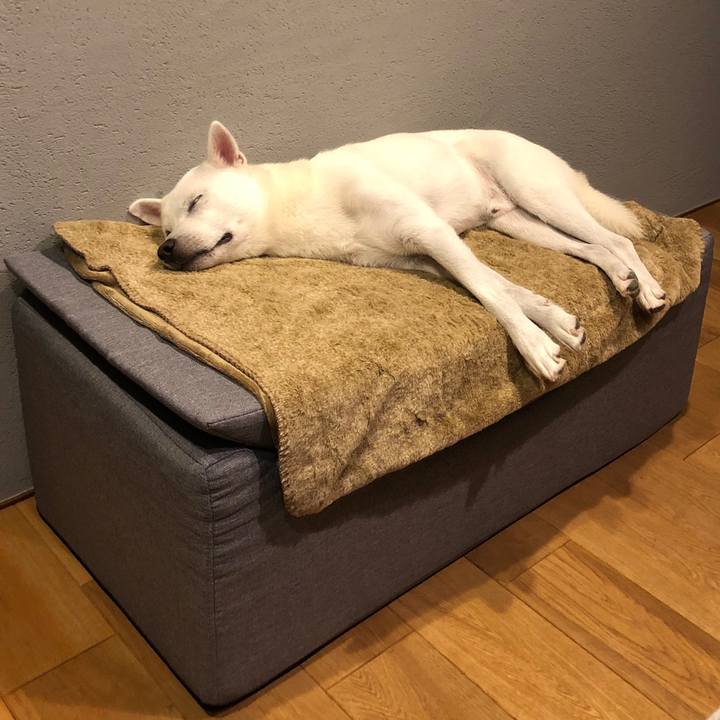 5afbe9ce c6dc 46c8 a858 50fef331ddc2 1570442456052