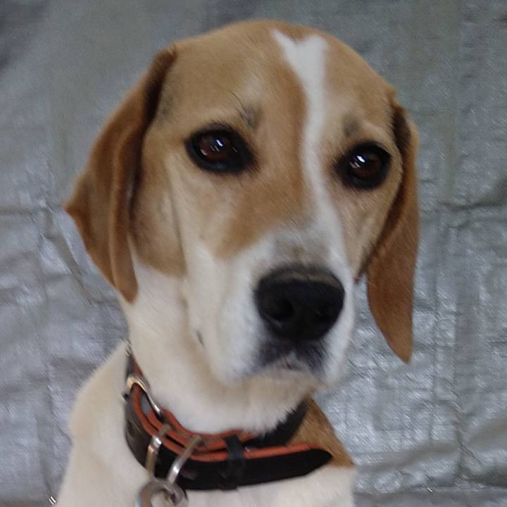 5afbefd2 6578 4100 adca db08f6dd7672 1655709351732