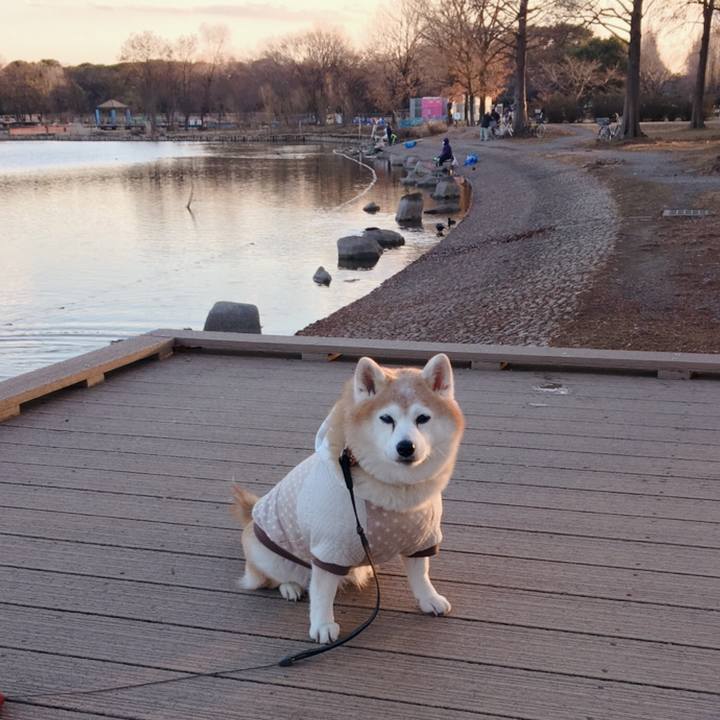 5afc1a2c b7ca 4c3a b46d cfc5fc9551ba 1612525683280