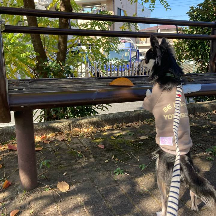 5afc6635 8d73 4e26 b532 4eda6f40d69c 1605449246197