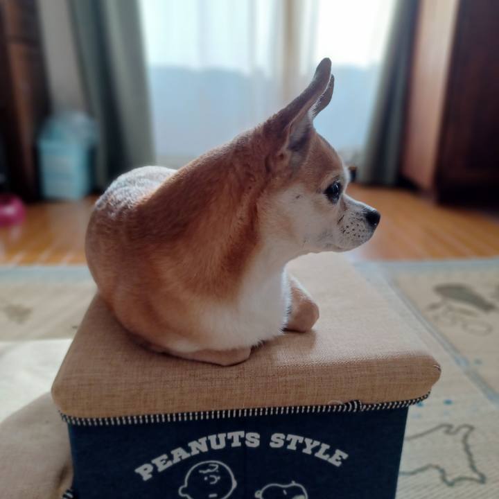 5afc6645 3001 4743 8e40 b4d05933b412 1751317446990