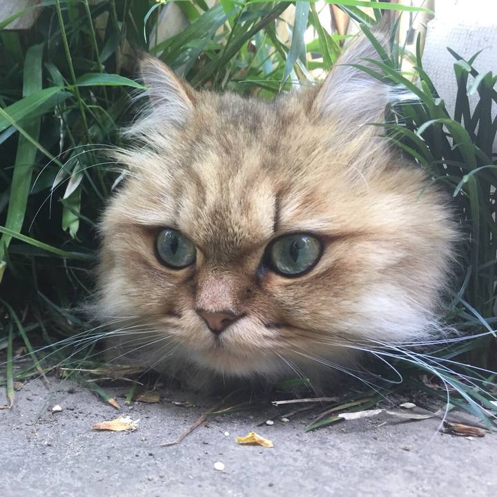 5afc8c48 165e 45af b7d3 63853d50bf9a 1525501091308