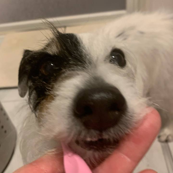 5afcb83a 7d77 4089 8ee7 390d4f801e3e 1743083919003