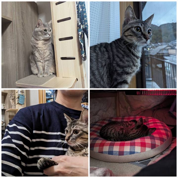 5afcbd19 5521 4bc5 bc04 b8d4a7a916af 1704858062603