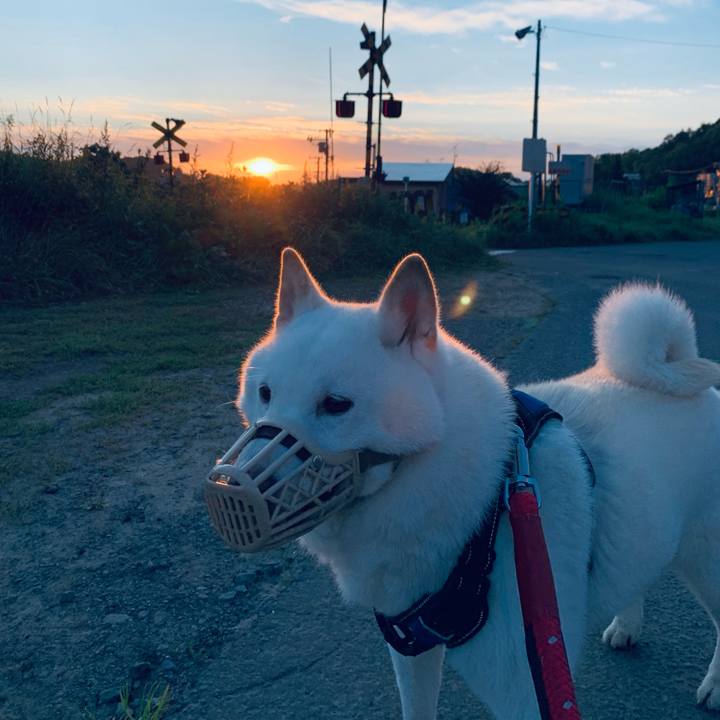 5afcc08c 4608 4348 9d3e 2e7f78f3945d 1662670058090