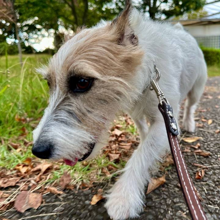 5afccfcd 52cf 47c1 a305 1bf25a7d5ef6 1730167010846