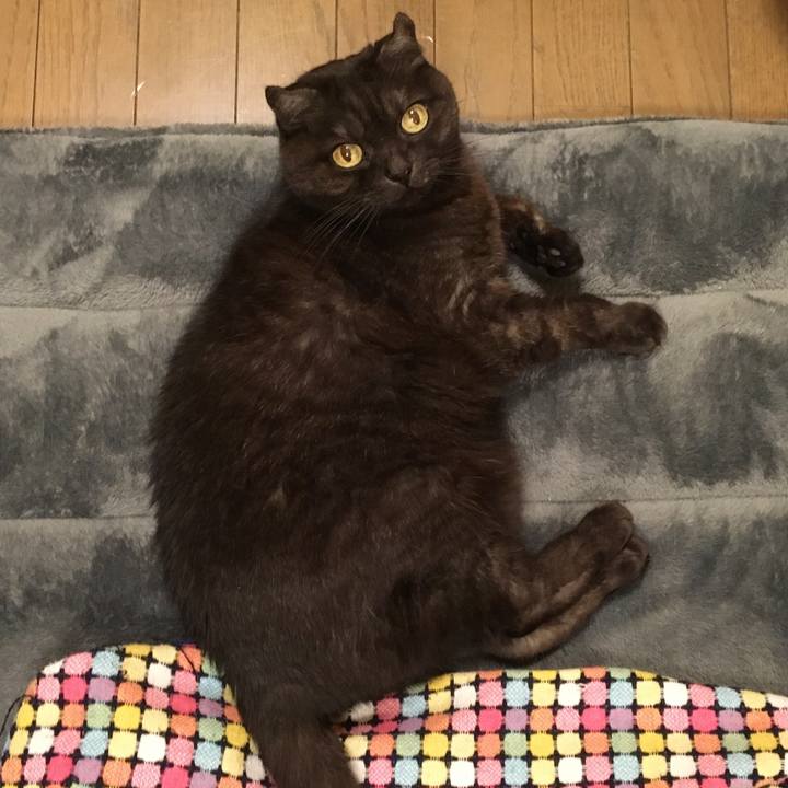 5afd10bb 8f18 4bc2 97b6 db3296cd3387 1546694515810