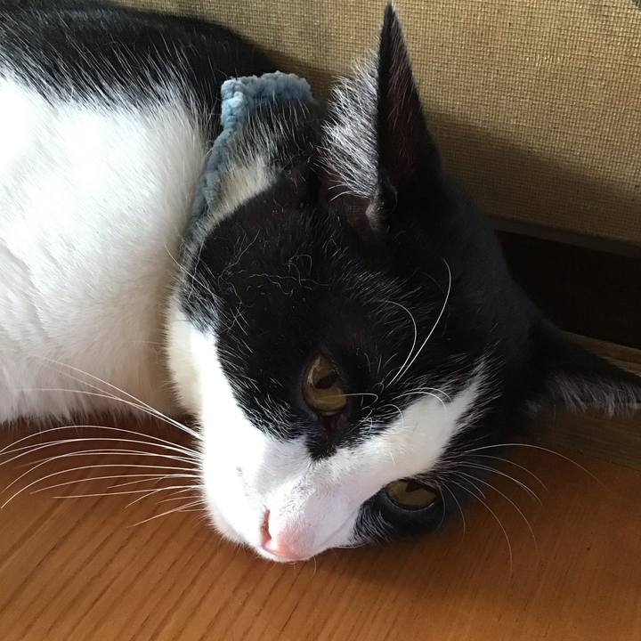 5afd18ba 3081 4a91 8011 0a035c10f79d 1661347461533