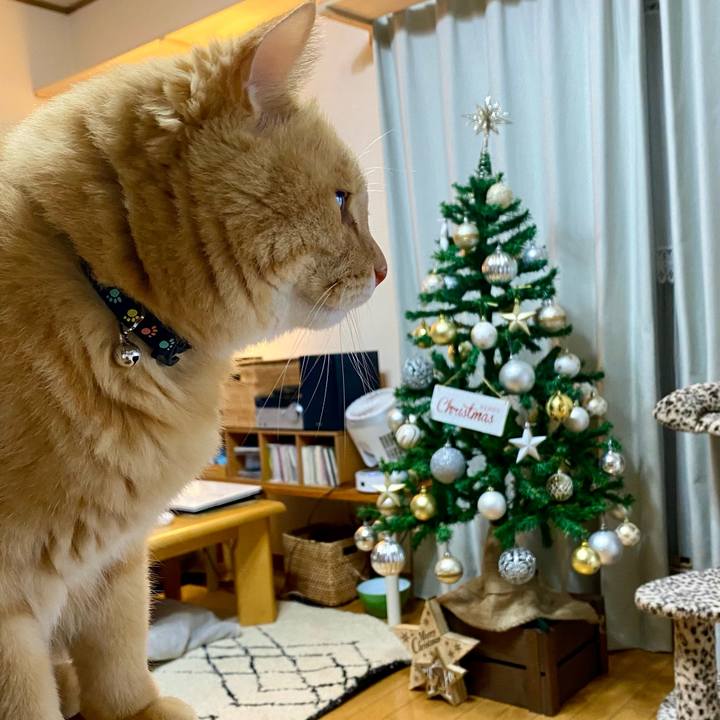 5afd74a1 a742 42fa 9973 491640f3f113 1701386721010