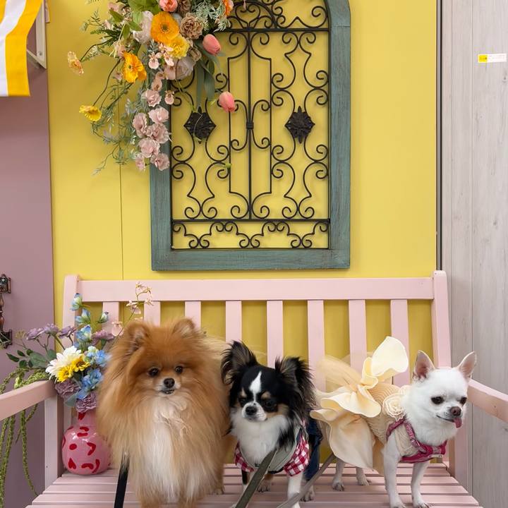 5afd98a3 972a 452d b02a 40e88dc0fa9d 1773473198042