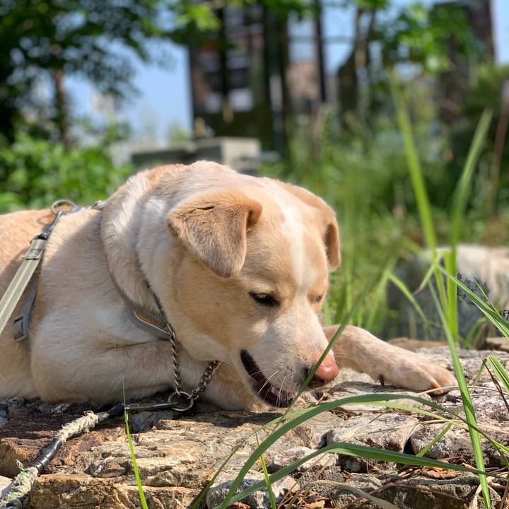 5afdbd0c 9c71 4d07 9ec1 9ef91d25a037 1558668061477