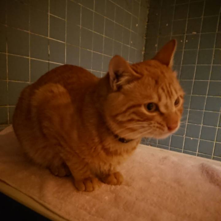 5afddac2 738f 4852 8a1e 781e693e7ea5 1642589889824