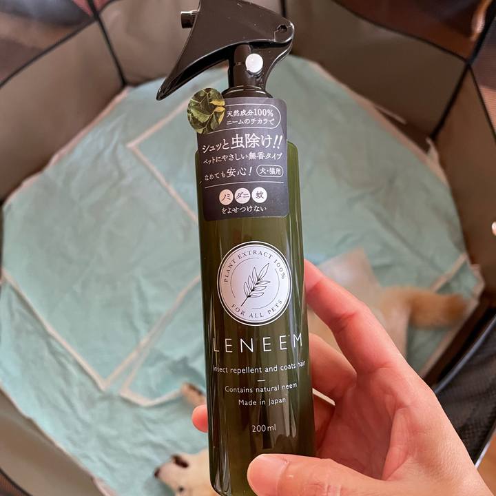 5afdf2d0 9b62 4294 beb5 bf7cb45a4a24 1654688230283