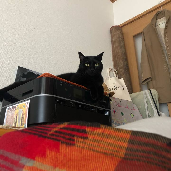 5afe0d99 5e0d 470e 9ac2 1e710b08a371 1573859523012