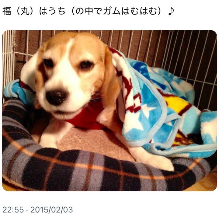 5afe88b0 7bc8 4ca8 83b4 b5c9cbc1d97e 1738554558934