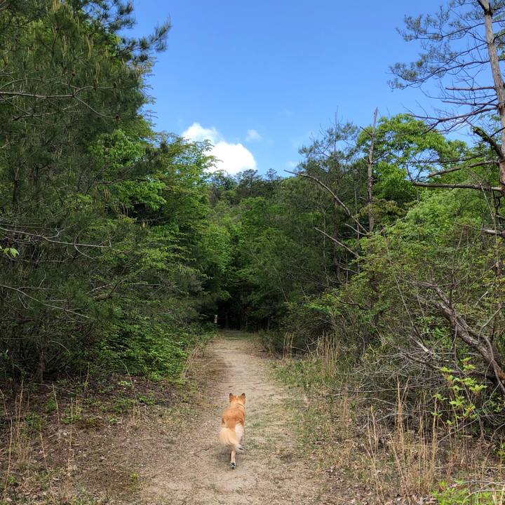 5afea001 3c05 46bd aad4 33754b5c3ddc 1589171840845