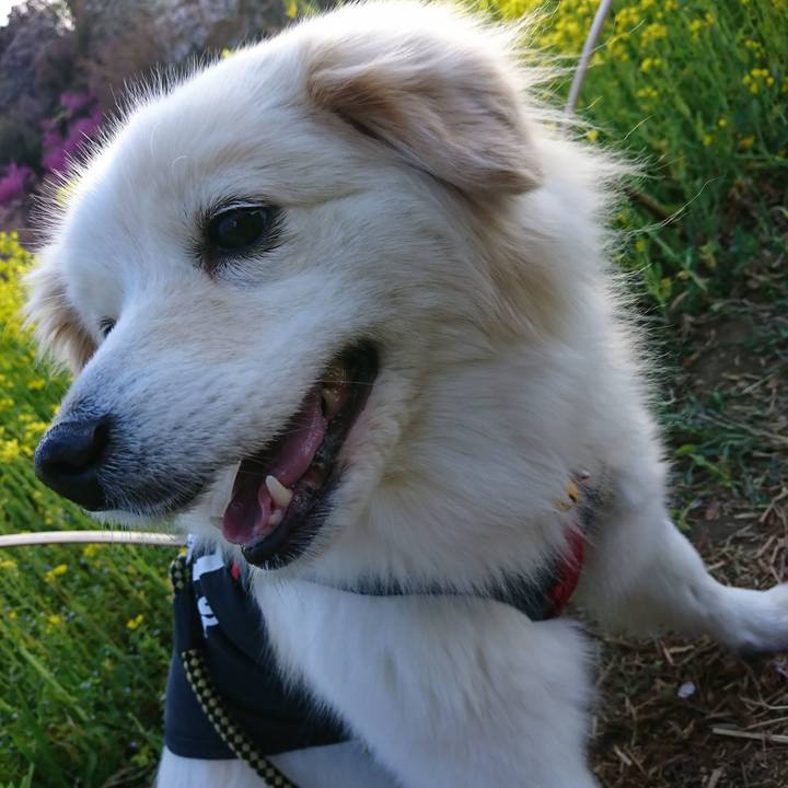 5afea1f4 9b36 44cb 9979 a4a8832f4626 1648698653885