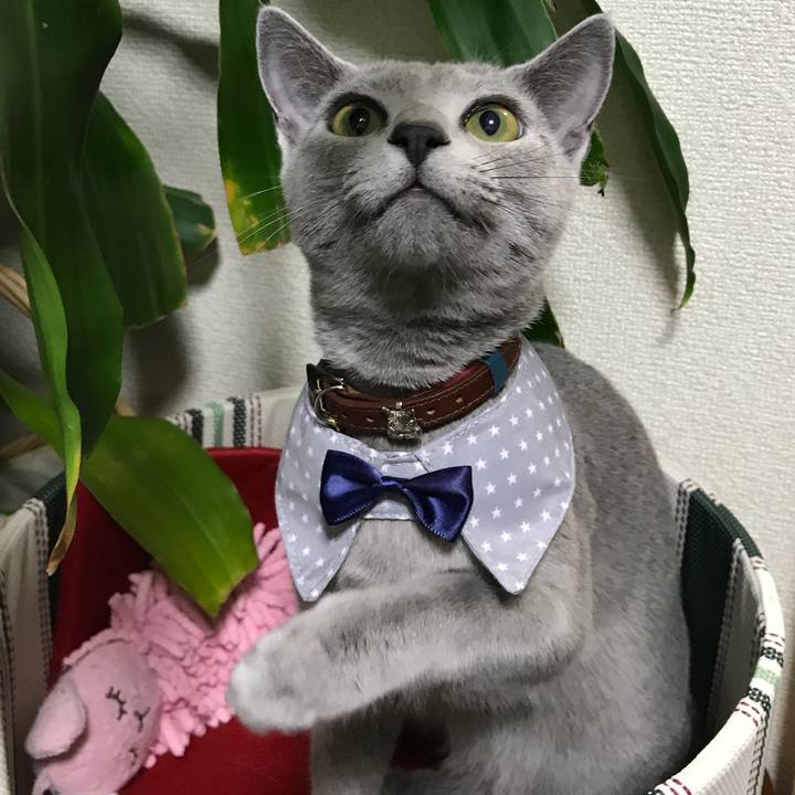 5afeb799 5017 4903 be6c c0587dae0384 1518869962238