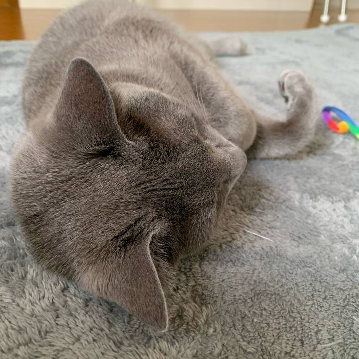 5afeb8e8 7e46 432d bcb8 bb67d14c3b82 1624153939882