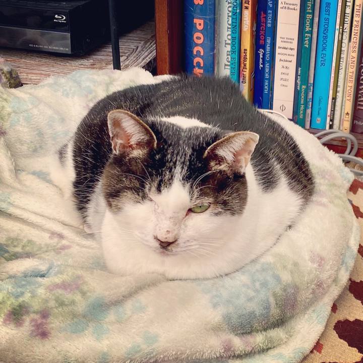 5afee27b e391 4220 a930 4e76e198789c 1579408454491