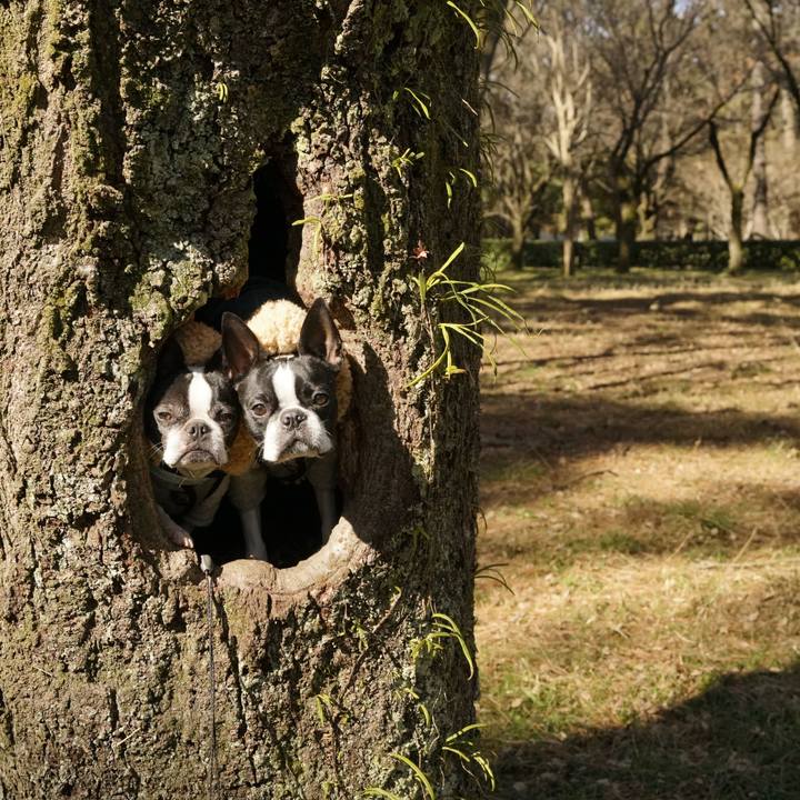 5aff1051 3012 4aee a145 2d35cce163a8 1517740526040