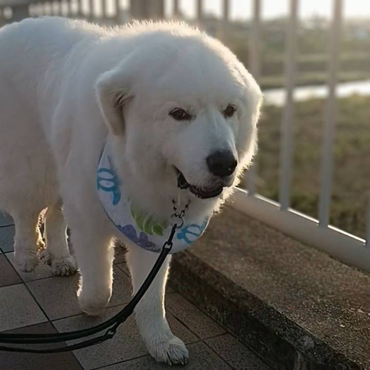 5aff204a 18f1 4c39 8c5a 09c50c944079 1714777749164