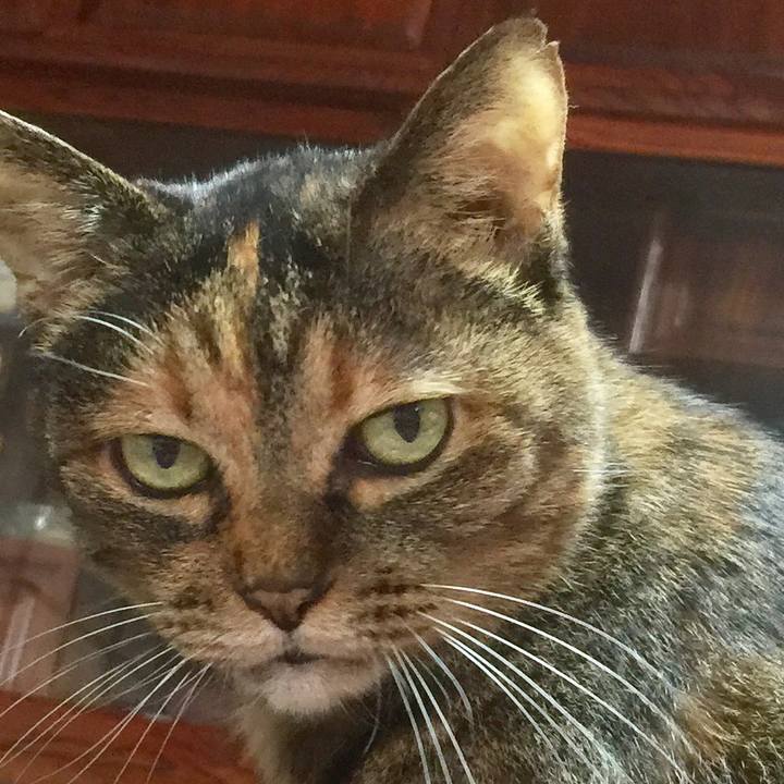 5aff26f9 e97f 4207 b1a4 fcde4c0ad316 1574831671573