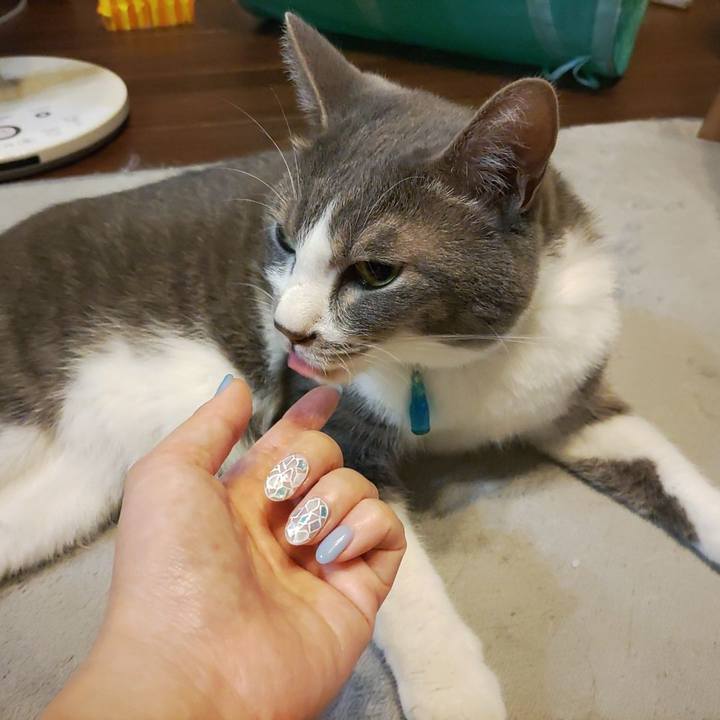 5aff2986 ca88 4f8c a209 0386741f5fce 1657287177272