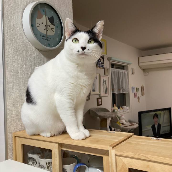 5aff59aa ced6 479b b492 70e7597e6a42 1764968321645