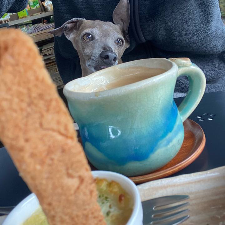 5aff8688 a9ff 471d aae2 b6ecd4b8f9dd 1766292995580