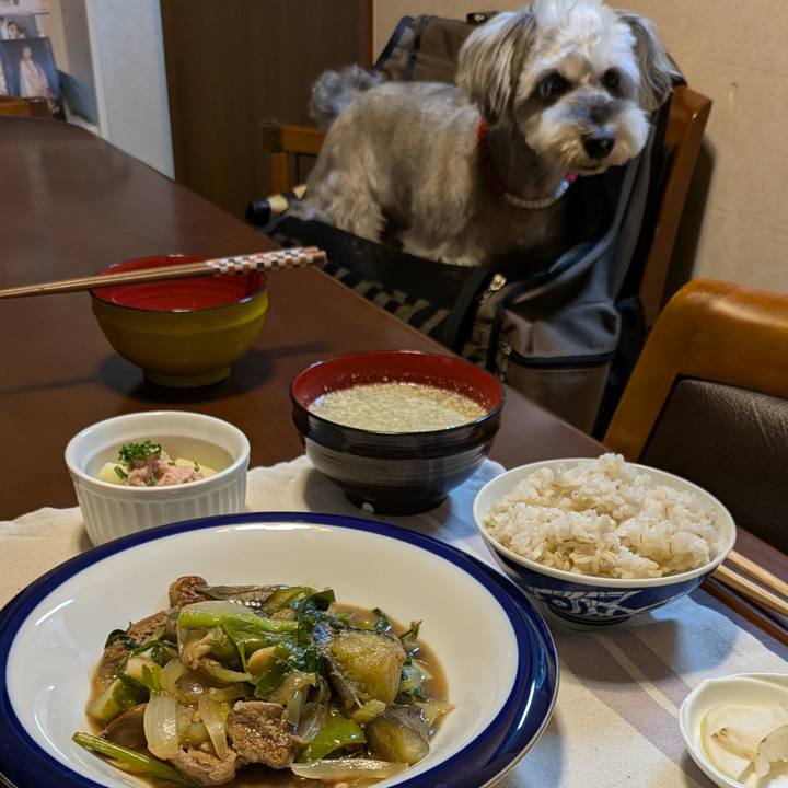 5affb249 f095 4596 829f 9a81fec487cf 1756139511059