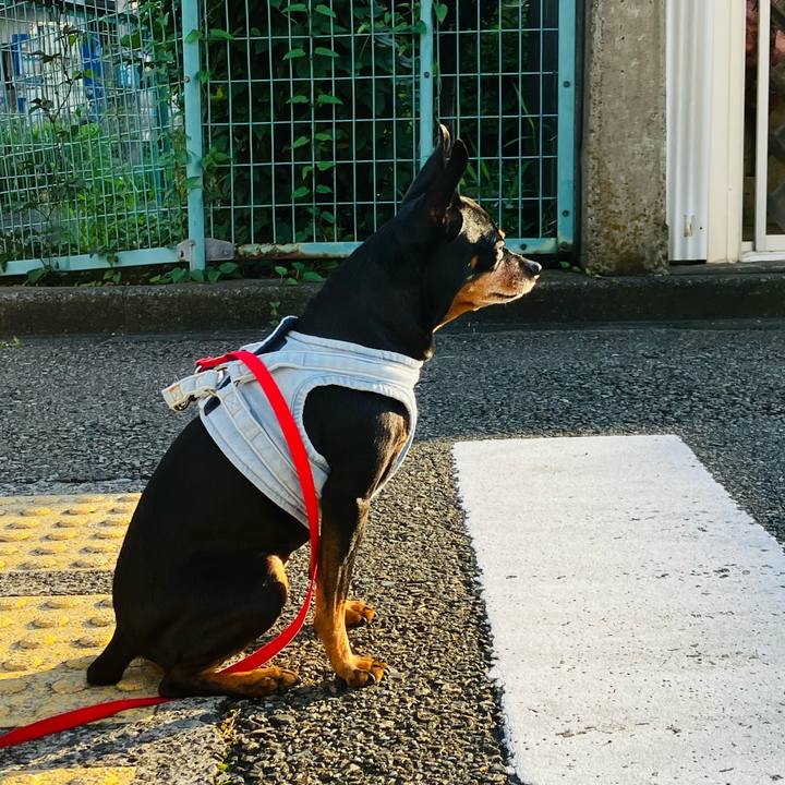 5affb88e be6d 4bcd a8f0 2d4784869bda 1751319771493