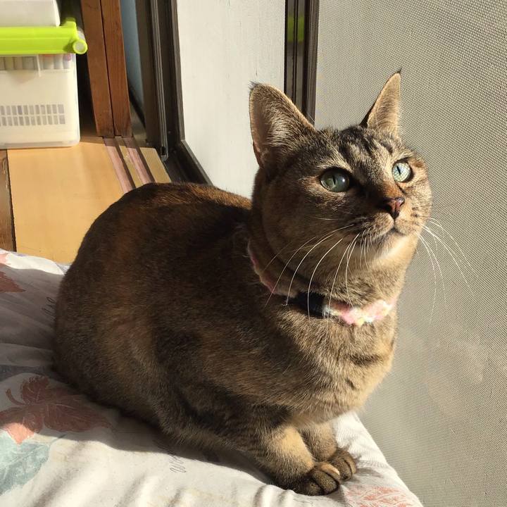 5afffd6d 8d1a 4016 bcf6 33e48d7efa2a 1616022329313