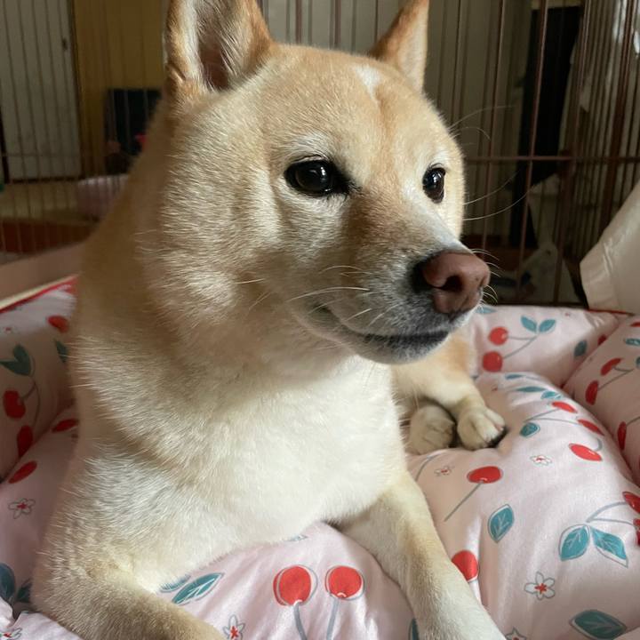 5b000baa 6d06 400b 8b93 97d9b0ecbe9e 1692517432075