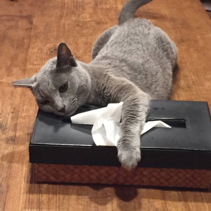 5b000d3f 2689 443e 949c 176458a4cb8a 1535955471124