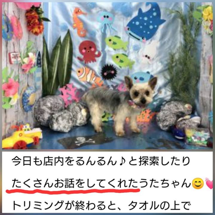 5b000eb9 89f2 4cda 930c 63f65ee5b888 1628511758653