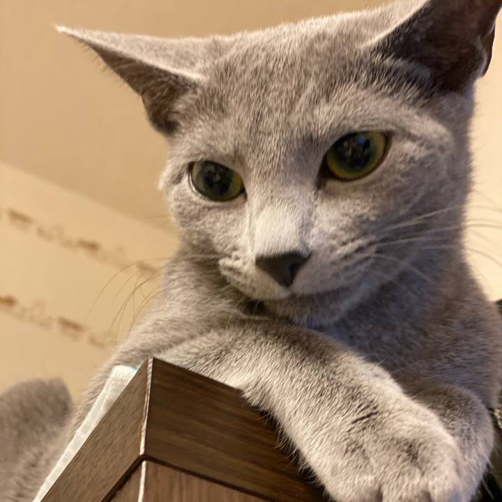 5b001711 5dcf 428e b374 8ec054cf4725 1607520963885