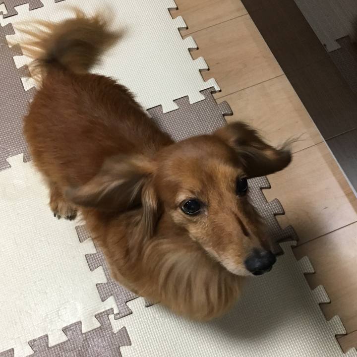 5b00487a 248d 4890 8415 f9513b63db80 1554709240358