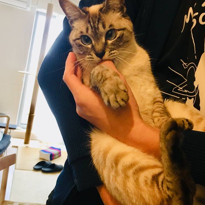 5b00a7f1 b39b 4c83 957d 576567799de3 1586060009836