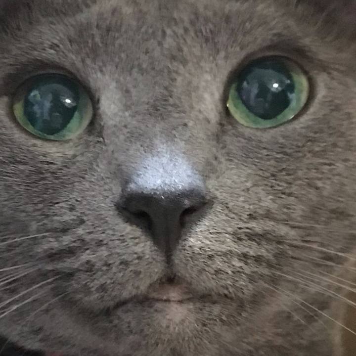 5b00dd21 93b4 4fb9 aab9 c1d9ded28087 1559949647598