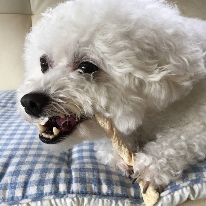 5b00fa27 6f24 4b5c 8393 01dec79f47f4 1534824929857