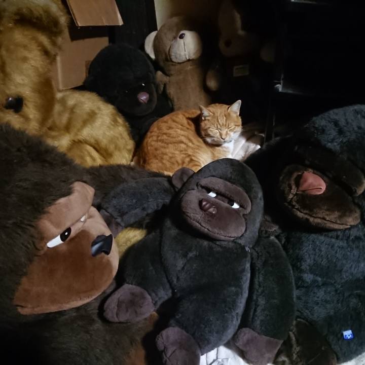 5b00fc2f f601 45c2 9d0c 36ec303ba63d 1607944503133