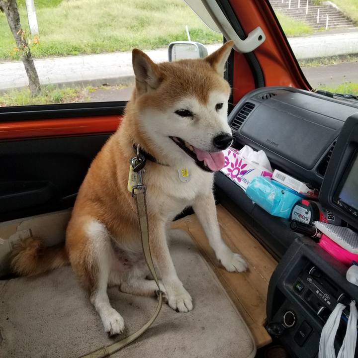 5b011c3a 208c 4d60 b31b 81587a433a28 1661579310316